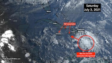 Elsa is becoming disorganized, but can it stay that way?