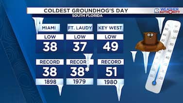 Punxsutawney Phil’s track record — and the coldest Groundhog’s Day ever recorded for parts of South Florida