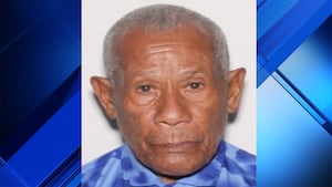 Man, 87, reported missing in Miami