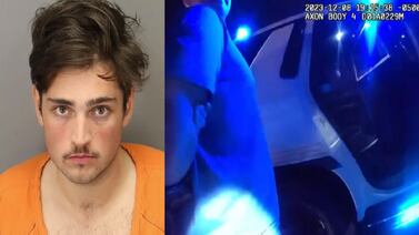 Drunk tourist molests manatee statue outside Florida bar, deputies say