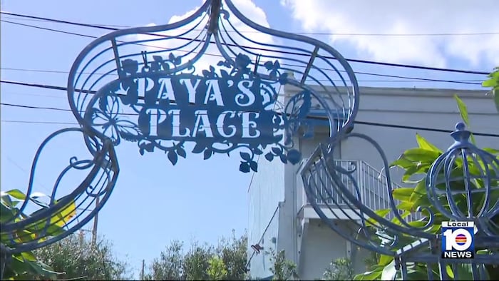 Woman creates nonprofit to care for pets while owners go through addiction treatment