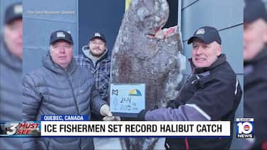 Ice fishermen in Canada set record with massive halibut catch