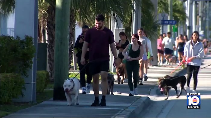 University of Miami students host 5K to help shelter dogs find homes