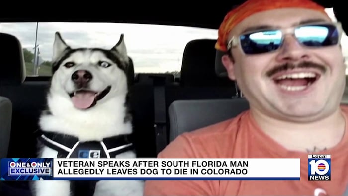 Cops capture Palmetto Bay fugitive accused of stealing serviceman’s car, leaving dog inside to die
