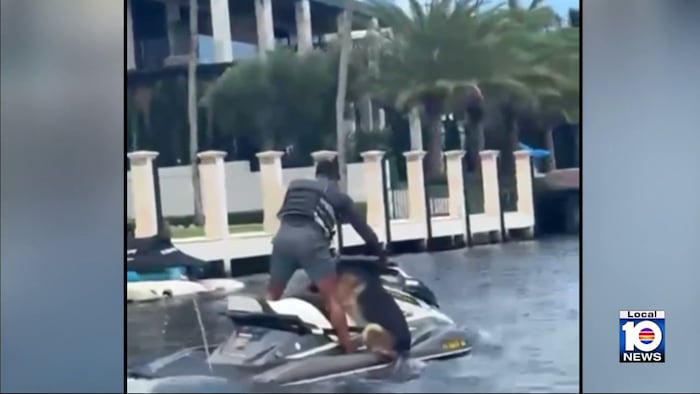 Jet ski worker rescues dog struggling in water in Fort Lauderdale