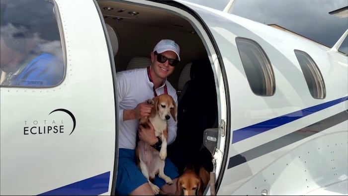 Rescued beagles begin new journey after being removed from Wisconsin research facility