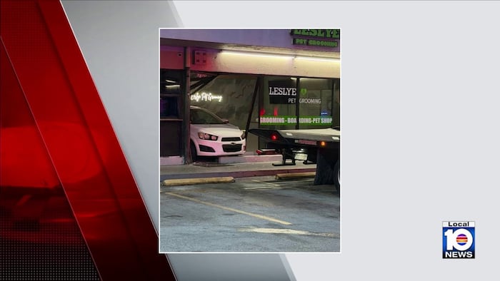 Driver crashes through front of Doral pet grooming business