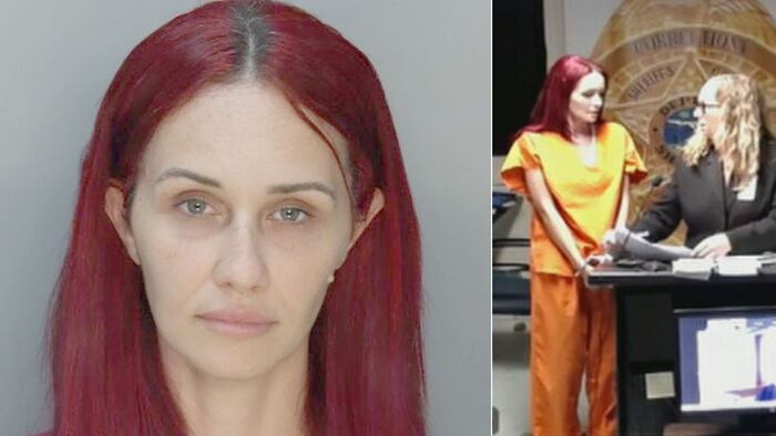 Accused fraudster appears in Miami-Dade court – WPLG Local 10