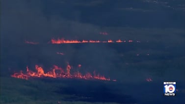 El incendio forestal en los Everglades se extiende a 19,000 acres e impacta gran parte del condado de Broward