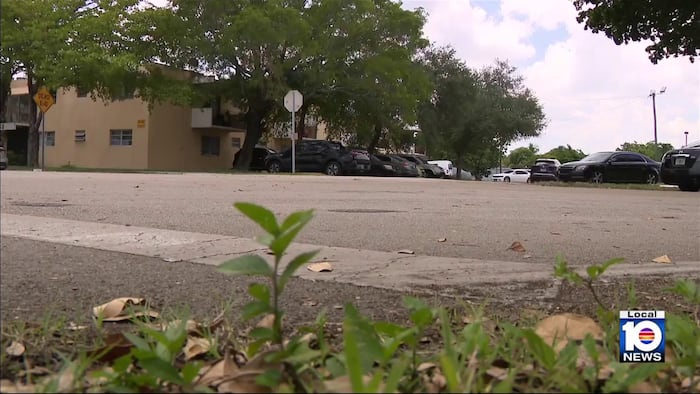 Teen talks about witnessing how a predator nearly abducted girl — and got away in Miami-Dade