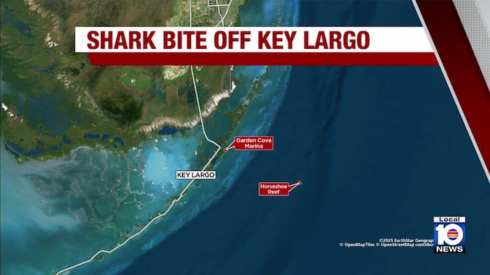 Two 8-Year-Olds Sustain Shark Bites in Florida, Texas Beaches