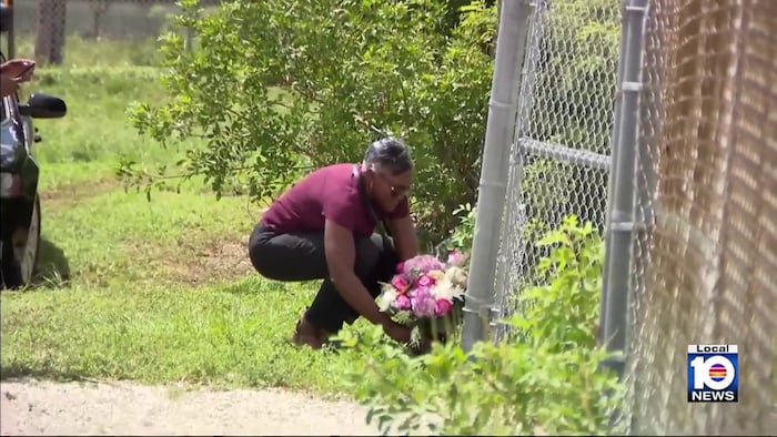 Family remains devastated after senior killed by dogs in Miami Gardens