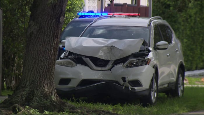 Surveillance video shows woman crash SUV into Hallandale Beach tree