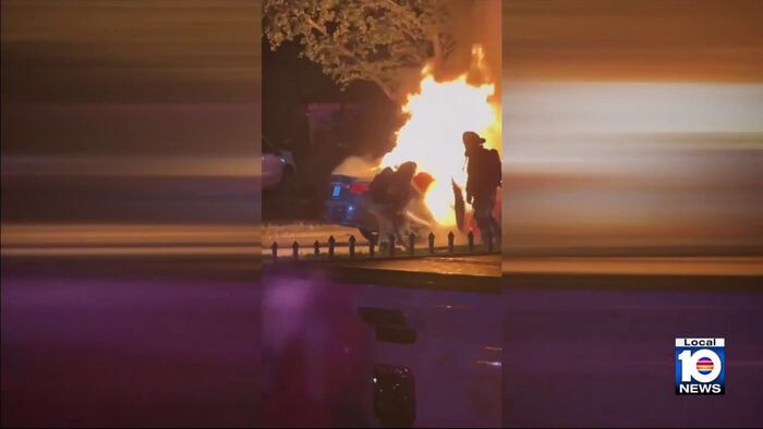 Video captures Miami-Dade deputies rescuing fleeing driver who crashed into tree – WPLG Local 10