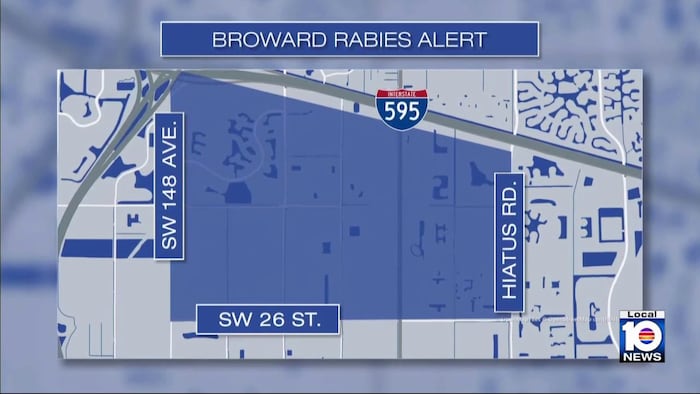 Florida Department of Health issues rabies alert for parts of Broward County
