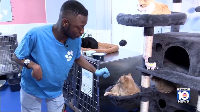 Abandoned pet rescue partners with Arc Broward to empower workers with disabilities
