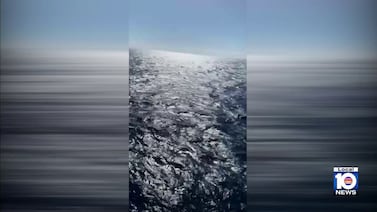 Norwegian Cruise Line confirms passenger fell overboard en route from Portugal to Miami